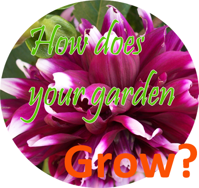 How does your garden grow?